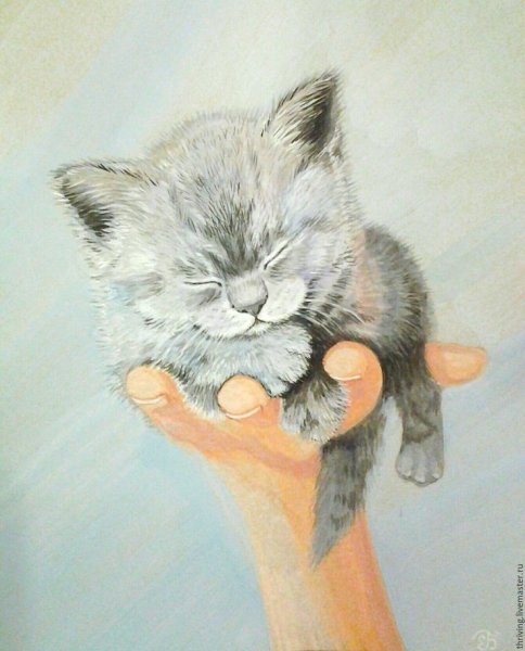 Картина котенок