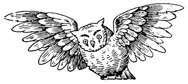 Выжигание по дереву для начинающих