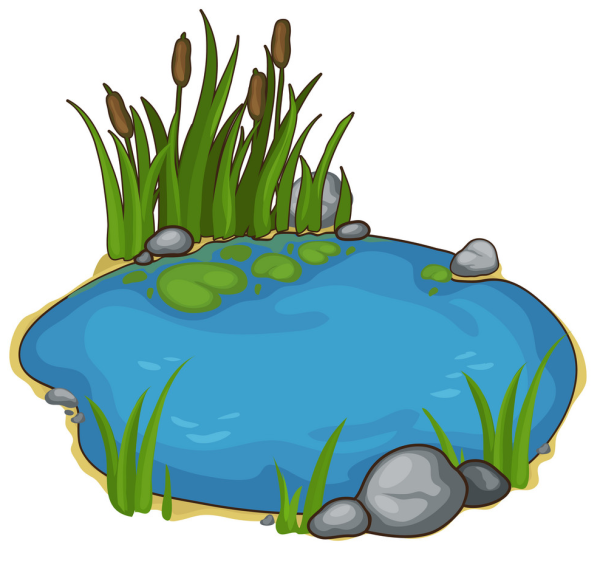 Пруд для детей