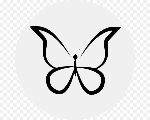 Бабочки для срисовки