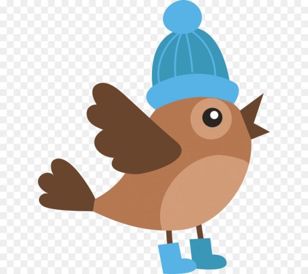 Птицы. Раскраска