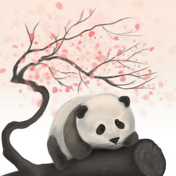 Панда и Сакура