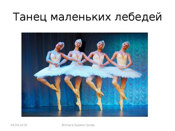 Лебединое озеро карикатура