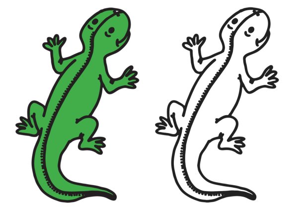 Ящерица контур