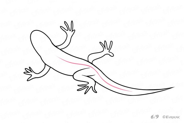 Саламандра для детей