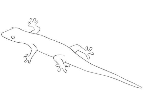 Ящерица эскиз