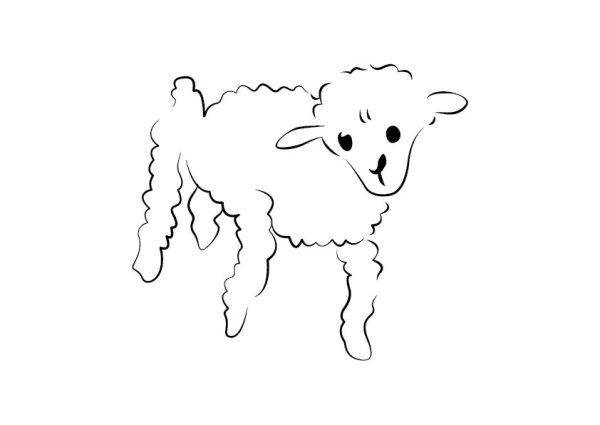 Экзюпери маленький принц барашек