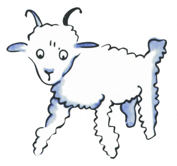 Маленький принц барашек