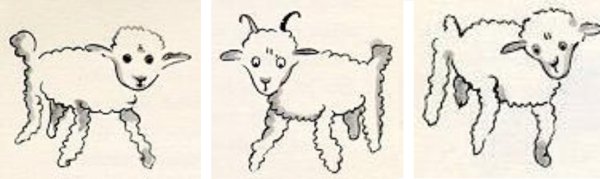 Барашек в коробке