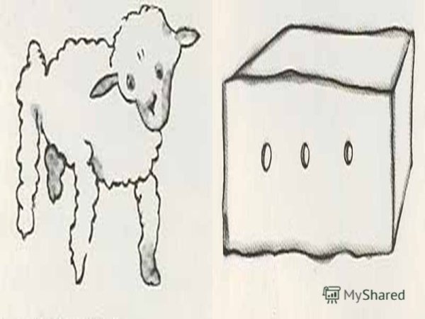 Экзюпери маленький принц барашек