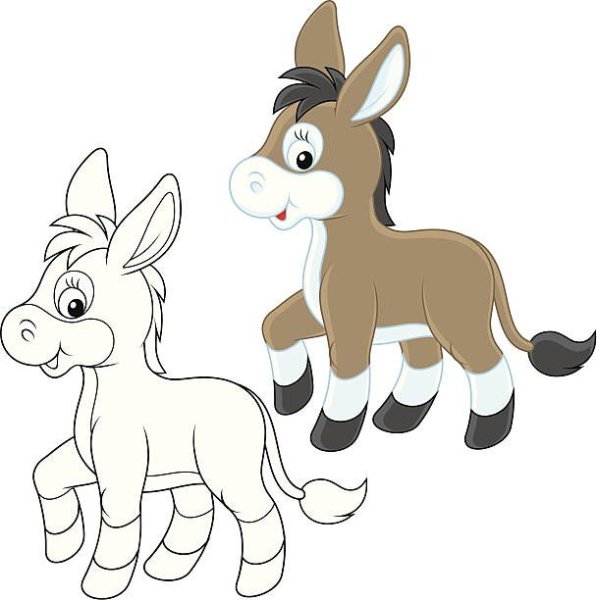 Ослик контур