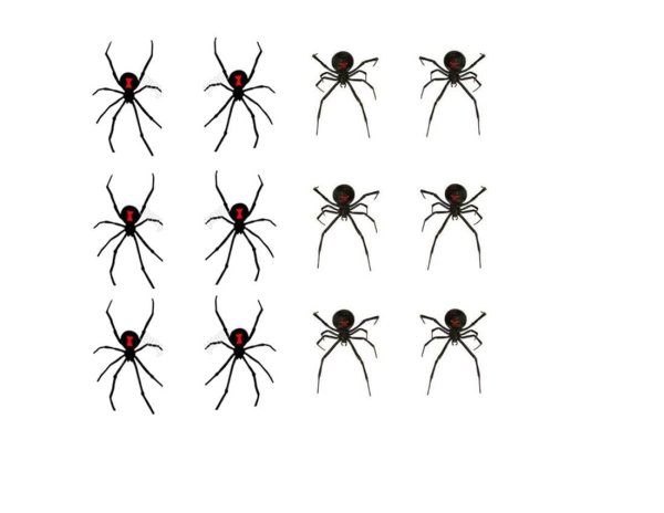 Маленький паук рисунок