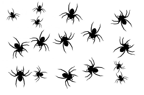 Черный паук для Хэллоуина