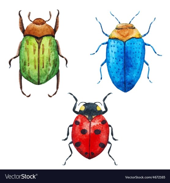 Разноцветные жуки жуки для детей