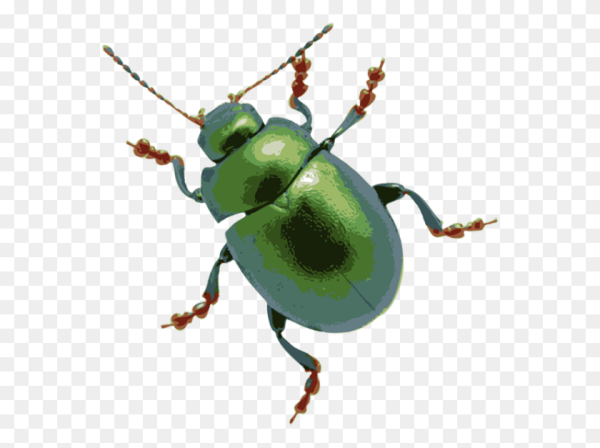 Жучок для детей