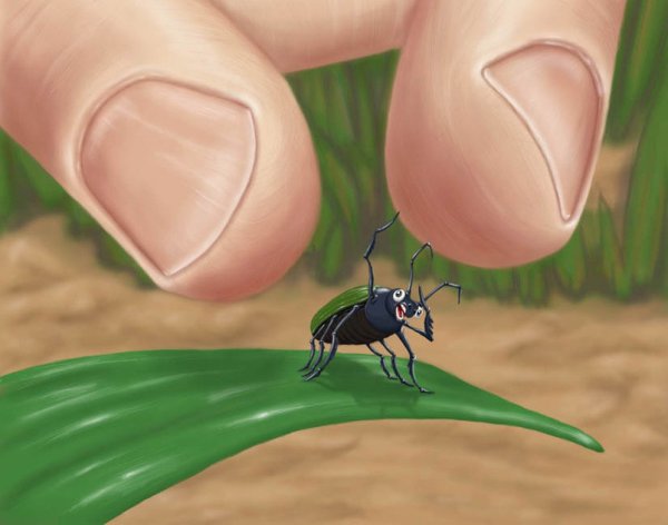 Смешной жучок