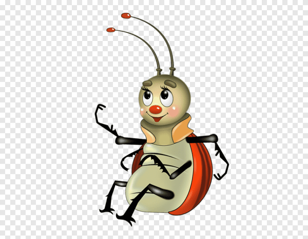 Жук для детей