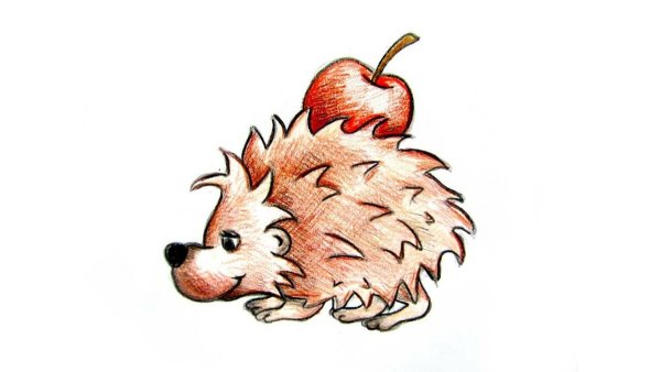 Ёж карандашом для срисовки