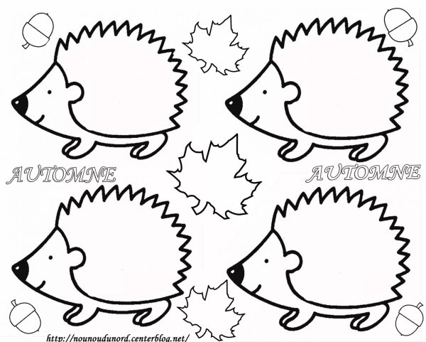 Раскраска Ёжик