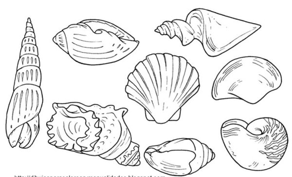 Рисование на ракушках