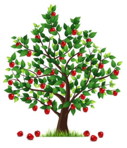 Дерево вишня для детей