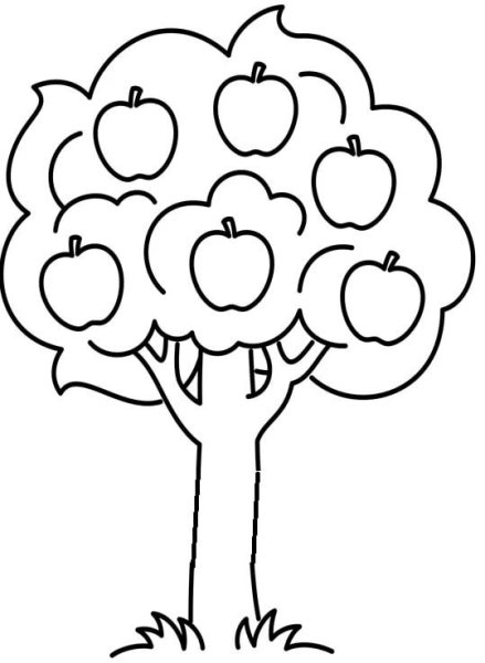 Раскраска яблоня с яблоками для детей