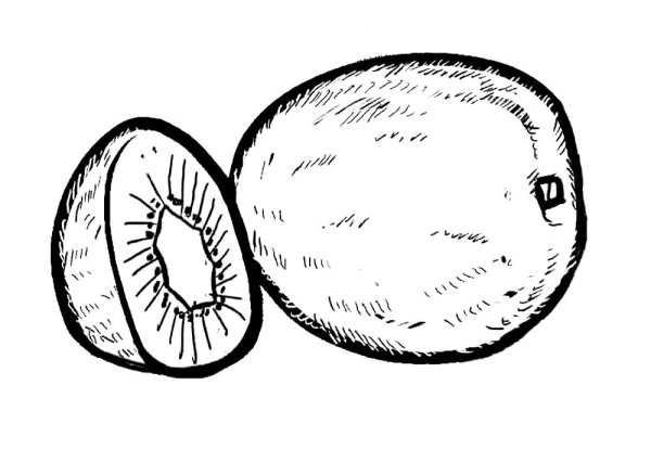 Киви раскраска для детей