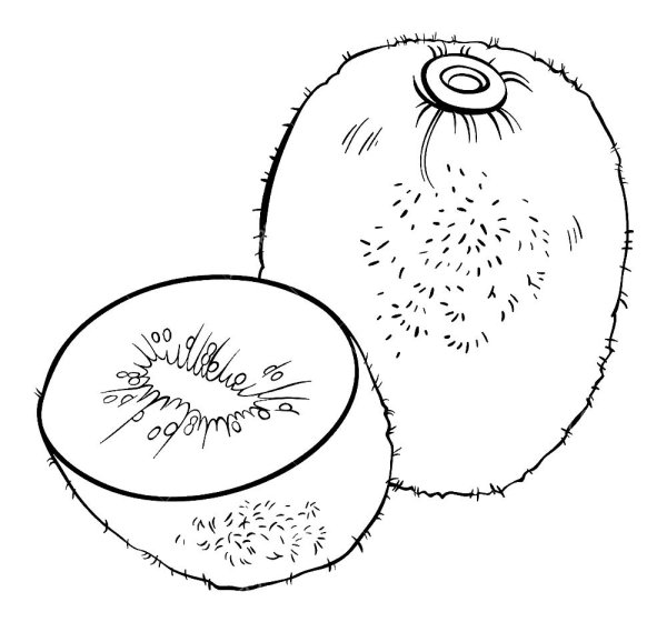 Киви черно белый