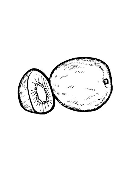 Киви раскраска