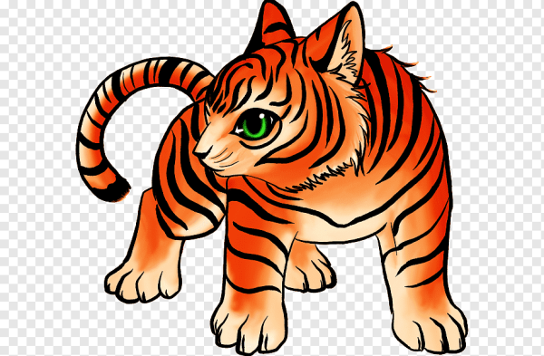 Тигр рисунок