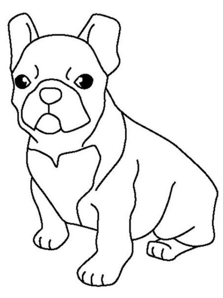 Французский бульдог вид сбоку