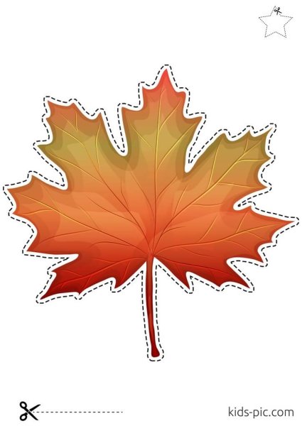 Лист клена шаблон