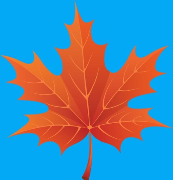 Листик клена