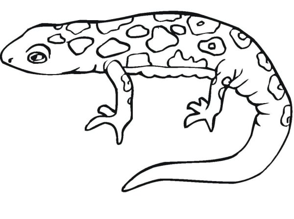 Ящерицы и змеи для детей мультяшные