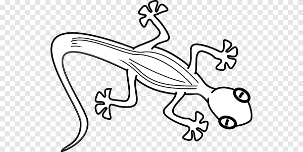 Нарисовать ящеоицадля детей