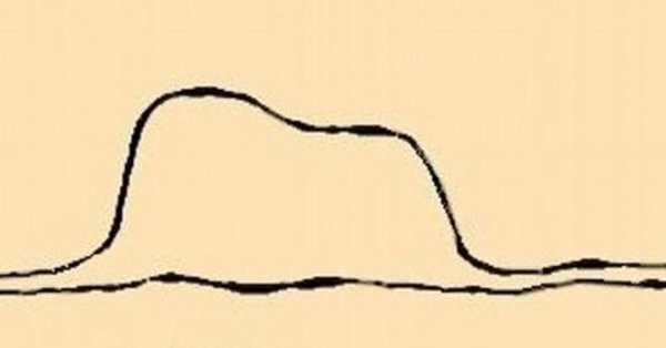 Маленький принц змея удав