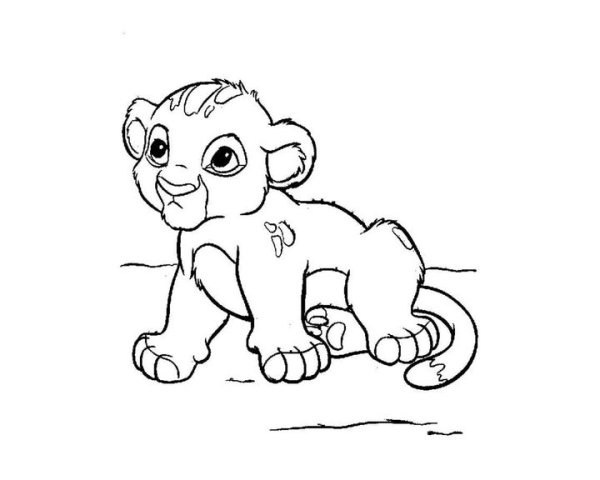 Лев и Львенок раскраска для детей