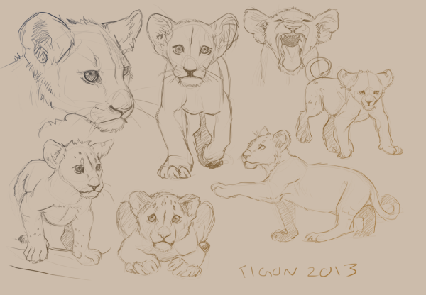 Референс Льва Король Лев