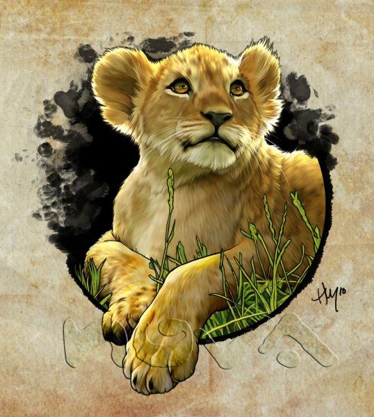 Львенок рисунок