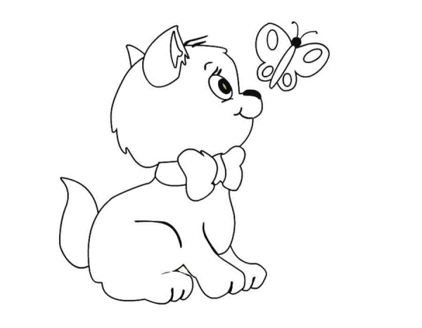 Твити птичка раскраска