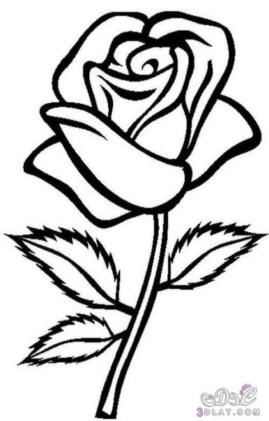 Цветы не Раскрашенные