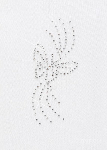 Схемы для страз на одежду