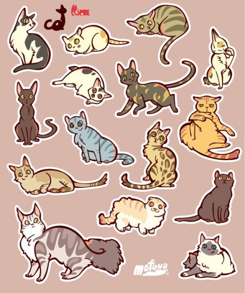 Котики на одном листе