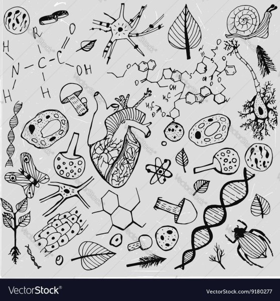 Стикеры на тему биология