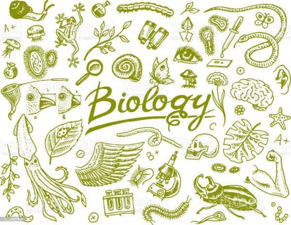 Стикеры на тему биология
