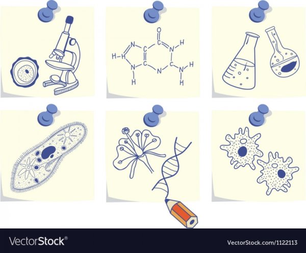 Рисунки связанные с биологией