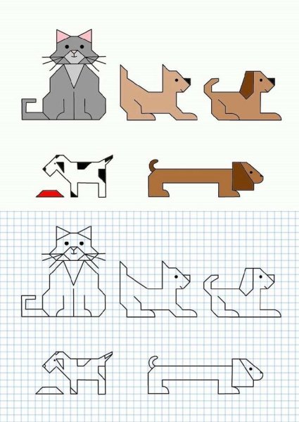 Животные по клеткам