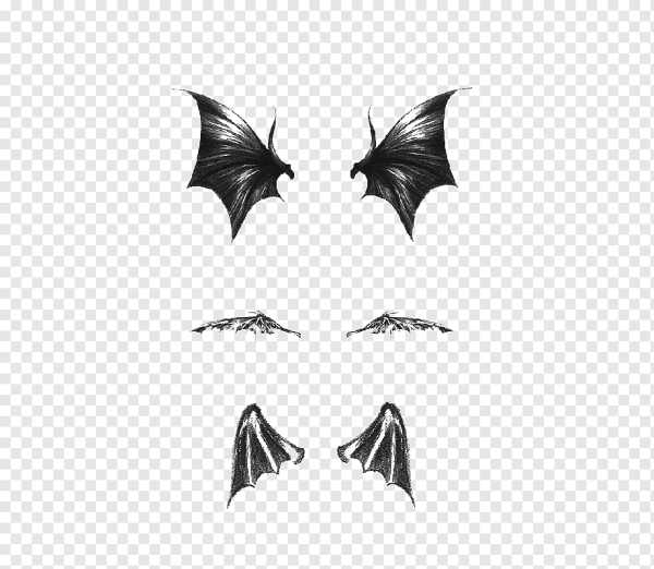 Маленькие Крылья демона