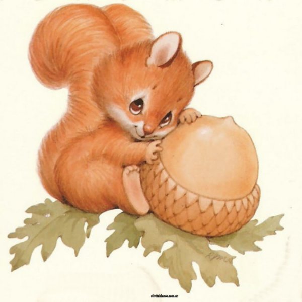 Белочка с орешками