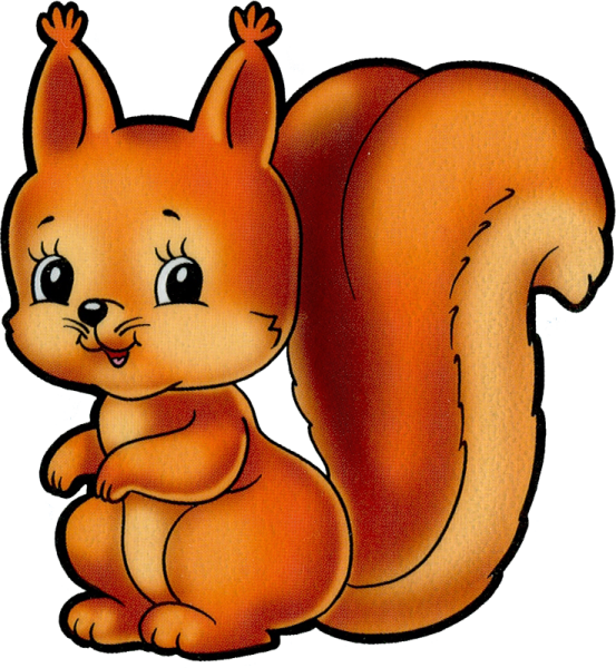 Белка для детей